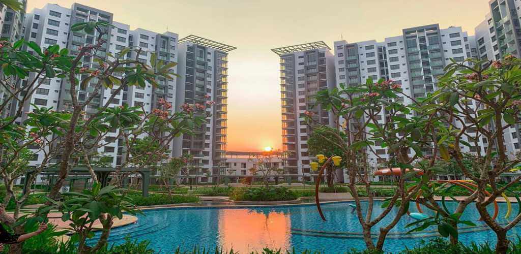 Celadon – Nơi sức khỏe thể chất và tinh thần đều được chăm sóc 2